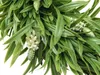 EUROPALMS  di lavanda, 30 cm (83500504) Anteprima dell’immagine prodotto 2