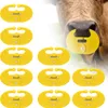 10 pezzi ABS nasello per vitelli svezzati, dispositivo Anteprima dell’immagine prodotto 4