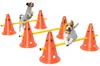 Set PawHut per agility: attrezzatura da agility in 3 pezzi Anteprima dell’immagine prodotto 1