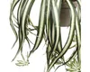 Mica Decorations Chlorophytum Kunstplant in Bloempot Stan - Productafbeelding-voorbeeld 6