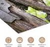MuchoWow® Poster Eule - Wald - Licht 160x120 cm - Foto Produktbild-Vorschau 2