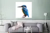 MuchoWow® Poster Eisvogel - Federn - Zweig - Blau 75x75 cm Produktbild-Vorschau 5