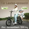 City-Elektrofahrräder - Sicherheits-Doppelkindersitz 0-12 Produktbild-Vorschau 11