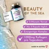 VROODY Marine Kollagen Komplex Kapseln mit Q10, Hyaluron & Produktbild-Vorschau 3