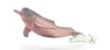 Collecta 88994 Amazonasdelfin 14 cm Wassertiere Produktbild-Vorschau 1
