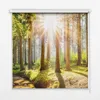 Seitenzug-Rollo Fensterrollo Jalousie - Lichtdurchlässig Produktbild-Vorschau 1