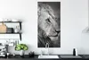 MuchoWow® Poster Löwe - Tiere - Porträt 60x120 cm - Produktbild-Vorschau 3