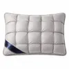 Oreiller ergonomique rafraîchissant pour dormir – PILLOWLUX Voir les images du produit 1