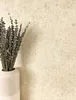 NEWROOM Tapete Beige Vliestapete Beton - Universal Modern Produktbild-Vorschau 1