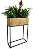 A planter with plants on a white background. Náhľad obrázku produktu