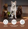 Four dogs of different breeds and sizes are sitting together, with three circular icons and text below them. Produktbild-Vorschau