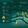 Lumineo Lichterkette BASIC 40 LED 3 m klassisch warm, Produktbild-Vorschau 15