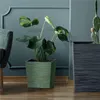 A green planter with a plant sits on a wooden floor next to a dark gray planter with a cactus. The background is a teal wall with decorative molding. Produktbild-Vorschau