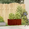 vidaXL Fioriera Rusty 80x40x40 cm Acciaio resistente alle Anteprima dell’immagine prodotto 3