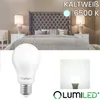 LUMILED A65 E27 LED Lampe, 15W (ersetzt 125W), 1952 Lm Produktbild-Vorschau 2
