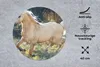 MuchoWow® Mauspad Mousepad Pferd - Natur - Braun 40x40 cm - Produktbild-Vorschau 2