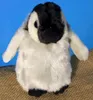 Cucciolo di pinguino in peluche 18 cm Anteprima dell’immagine prodotto 9