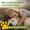bio-chem Geruchsentferner Set | Enzymreiniger Konzentrat 1L Produktbild-Vorschau 7