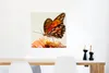 MuchoWow® Poster Schmetterling - Orange - Blume - Insekten Produktbild-Vorschau 5