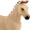 Schleich Horse Club 13929 Puledro Hannoverian, dun Anteprima dell’immagine prodotto 2