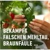 Compo Pilzfrei Revus 20 ml Produktbild-Vorschau 4