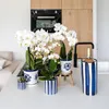 Kolibri Home | Gemaltes Streifchen Produktbild-Vorschau 8