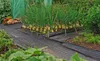 Mocna mata antychwastowa agrowłóknina ogrodowa 1,1X50M + 50 Podgląd zdjęcia produktu 3