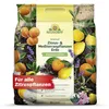 Neudorff NeudoHum Zitrus- & MediterranpflanzenErde 10L Produktbild-Vorschau 1