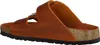 BIRKENSTOCK ARIZONA BIG BUCKLE Orange Produktbild-Vorschau 34