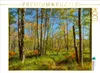 CALVENDO Puzzle Wälder im Acadia National Park | 1000 Teile Produktbild-Vorschau 2