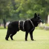 Non-stop dogwear Hundegeschirr Line Harness Long WD oliv, Produktbild-Vorschau 2