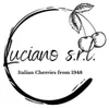 Luciano Cerises italiennes Amarena parfaites pour les Voir les images du produit 2