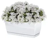COUBI DUPP240 Blumentopf mit Untersetzer | Weiß Produktbild-Vorschau 4