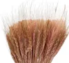 Trockenblumen, Persischer Weizen, Müslistrauß, Boho-Stil Produktbild-Vorschau 1