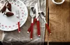 Villeroy & Boch S+ Cranberry Tafelbesteck 30tlg. Produktbild-Vorschau 3