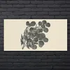 Coloray Bild aus Glas 140x70 Dekoration wohnzimmer Produktbild-Vorschau 2