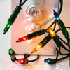 Lichterkette innen 50 bunte Lichter, beleuchtet 7,35m, Produktbild-Vorschau 1