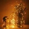 A decorative arrangement of fairy lights in a bottle and a lantern, with dried flowers in a vase. Produktbild-Vorschau