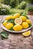 Citrus limon Verna 120–140 cm – citroník pravý – Náhled obrázku produktu 3