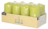 Stumpenkerzen Ø 50 mm · 100 mm kiwi Produktbild-Vorschau 3
