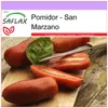 SAFLAX - Pomidor - San Marzano - 10 Nasiona - Lycopersicon Podgląd zdjęcia produktu 6