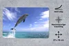 MuchoWow® Mauspad Mousepad Delfin - Meer - Himmel 27x18 cm Produktbild-Vorschau 2