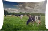 MuchoWow® Outdoor Kissen - Kühe - Weide - Natur - Tiere - Produktbild-Vorschau 1