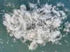 Péřový polštář PREMIUM 70x90 cm 1100 g bílý Náhled obrázku produktu 3