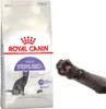 A bag of Royal Canin cat food is shown next to a cat's paw. Náhled obrázku produktu