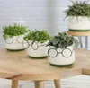 Blumentopf mit Gesicht und Brille, in zwei Farben und 4 Produktbild-Vorschau 3