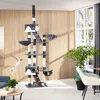 Kratzbaum Hansi 243 bis 260 cm inklusive 2 Treppen, 2 Produktbild-Vorschau 8