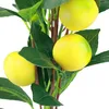 Künstlicher Zitronenbaum h45cm Produktbild-Vorschau 5