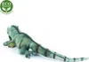 Peluche Iguana Verde 68 Cm Ecologico Anteprima dell’immagine prodotto 4