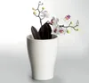 Scheurich Orchid Pot 608, Topfpflanzer, Freistehend, Produktbild-Vorschau 6